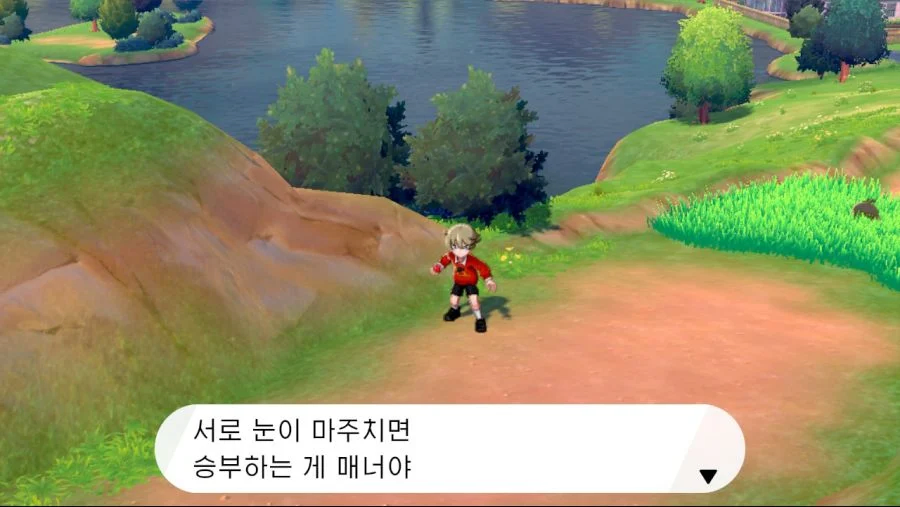 포켓몬 핍진성이 중요한 이유_2.webp