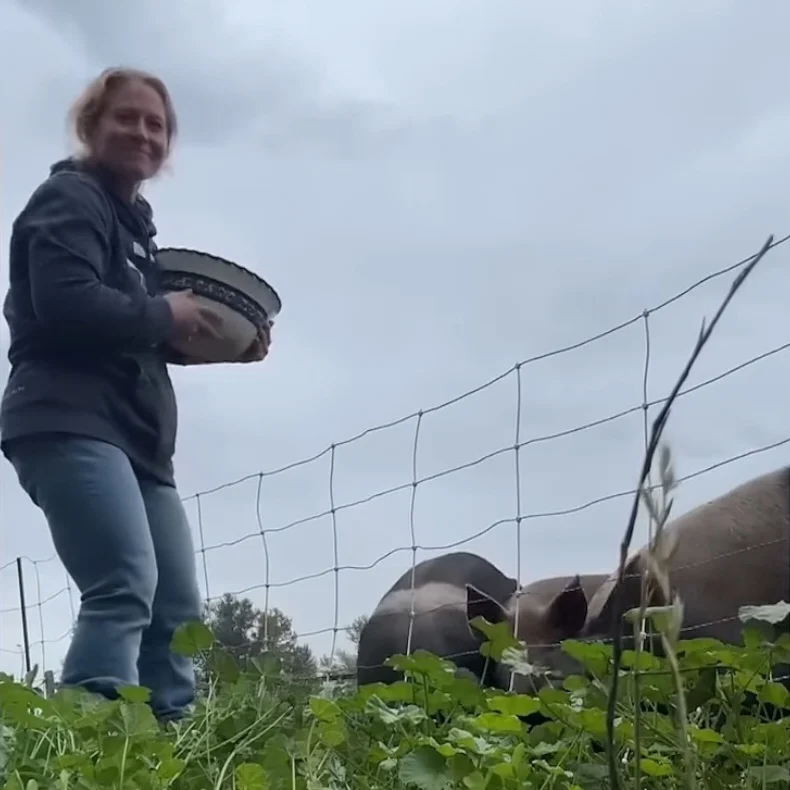 먹고 남은 볶은 밥으로 베이컨 만들기_3.webp