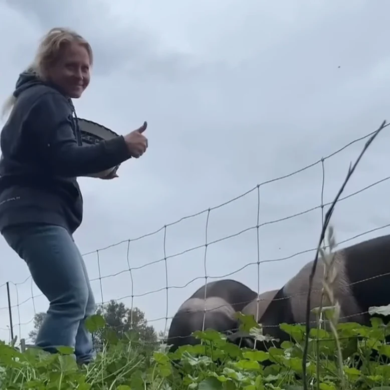 먹고 남은 볶은 밥으로 베이컨 만들기_4.webp