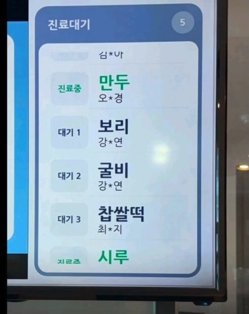 동물병원 환자 명단_1.png