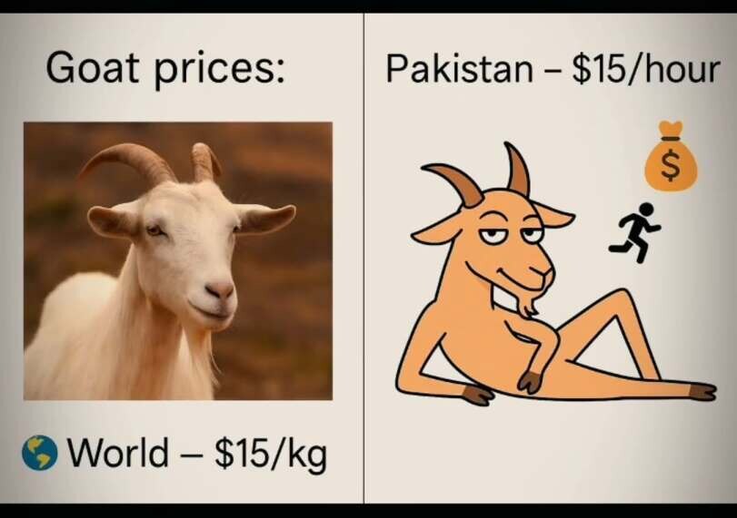 파키스탄에서는 염소를 시간당으로 판데요_1.jpg