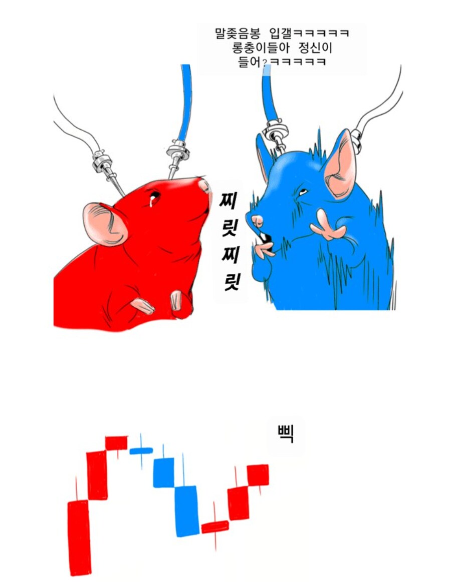 덴지군은 어떤 쥐가 좋아?_2.png