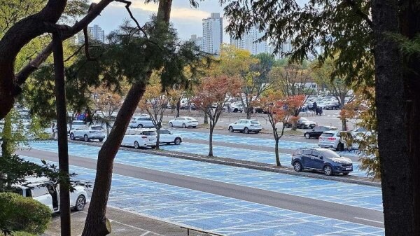 서울대공원 주차장, 무개념 주차 모습_3.jpg