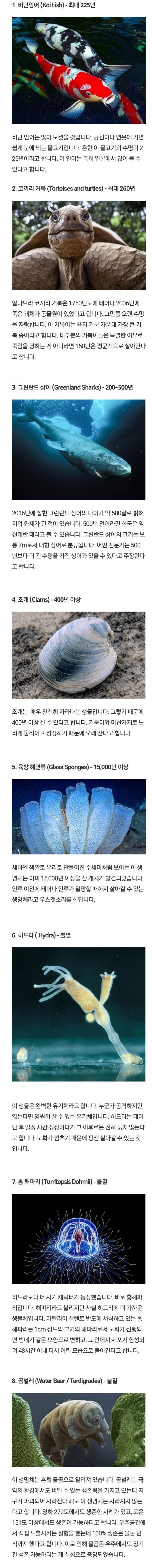 인간보다 장수하는 동물.jpg_1.jpg