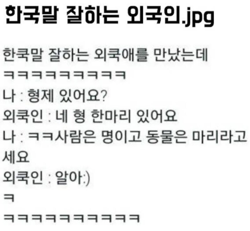 한국말 잘하는 외국인_1.jpg