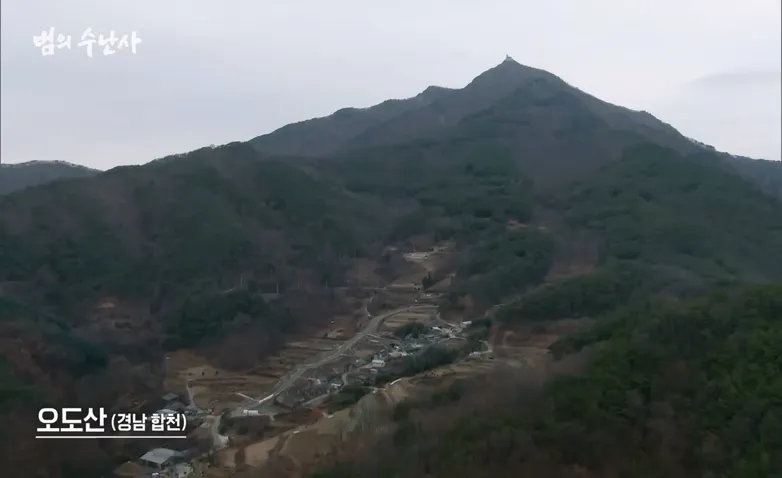 해병) 한반도 최후의 표범이 잡힌 산_1.webp