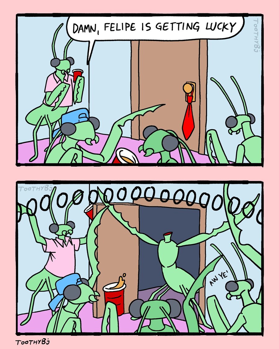 아다뗀 사마귀 친구 축하하기_1.png