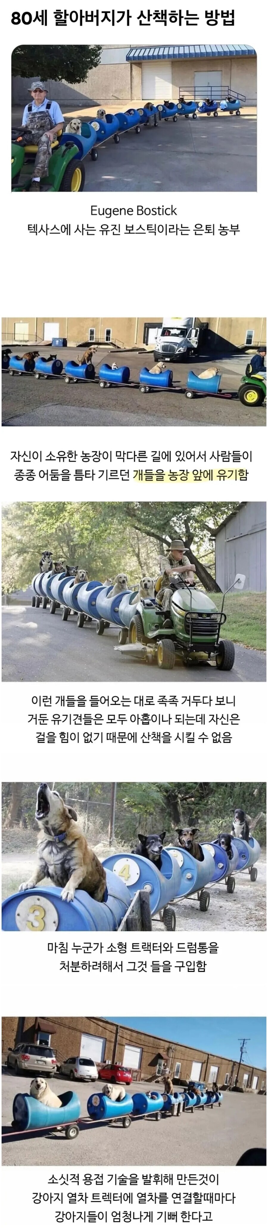 80세 할아버지가 산책하는 방법.jpg_1.jpg