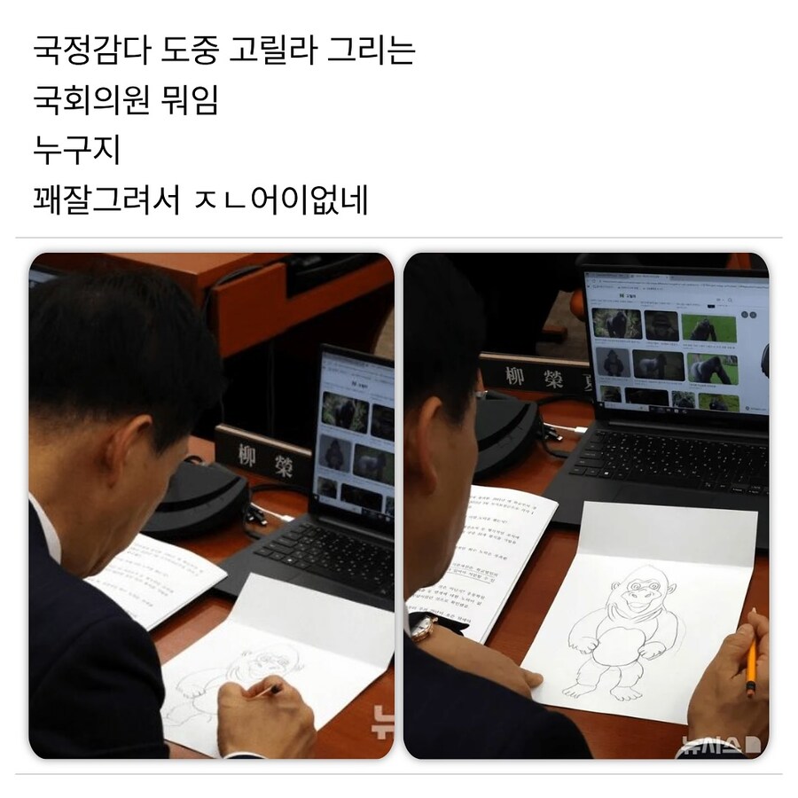 국정감사 도중 고릴라 그리는 국회의원.jpg_1.jpg