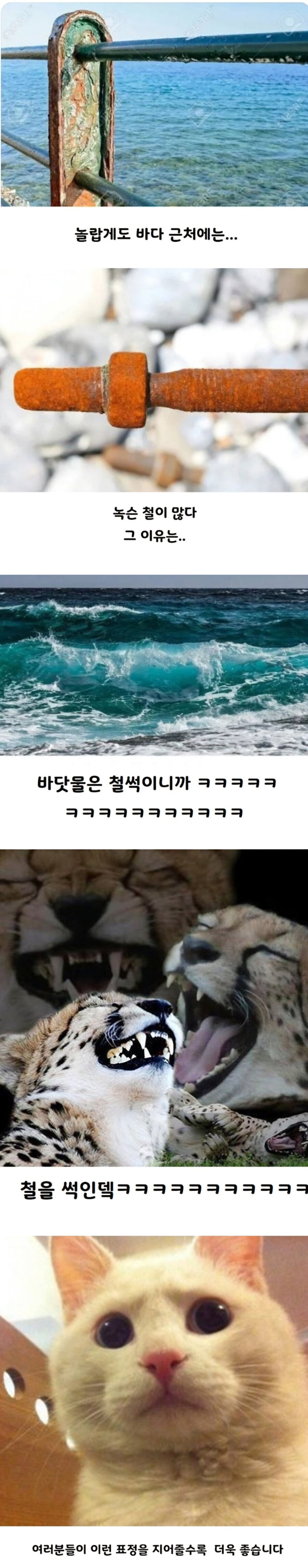 바닷물이 철을 녹쓸게 만드는 이유_1.jpg