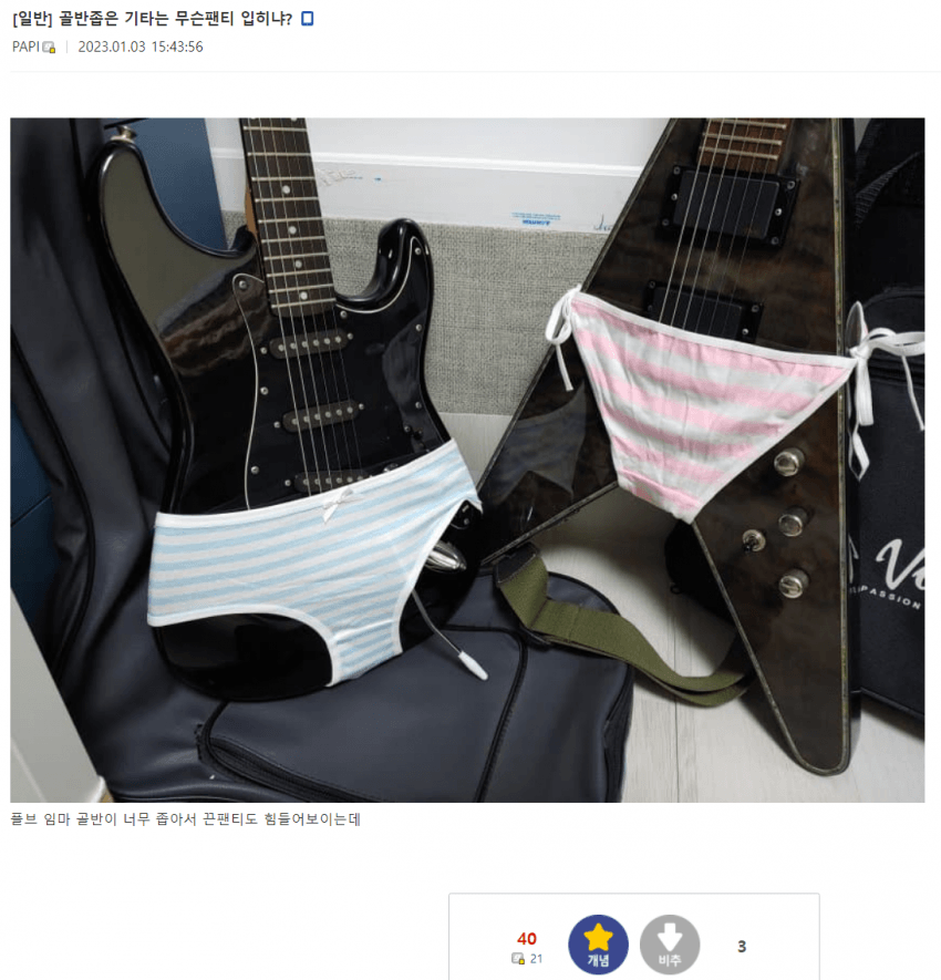 골반 좁은 기타는 무슨 팬티 입히냐?_1.png