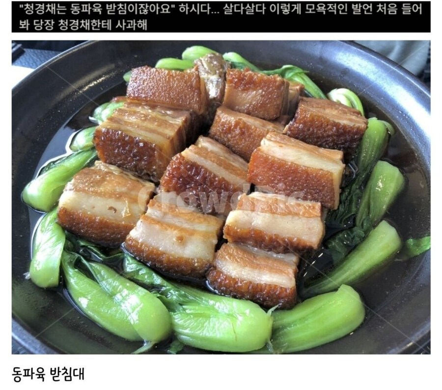 들으면 발끈한다는 청경채의 모욕적인 별명_1.jpg