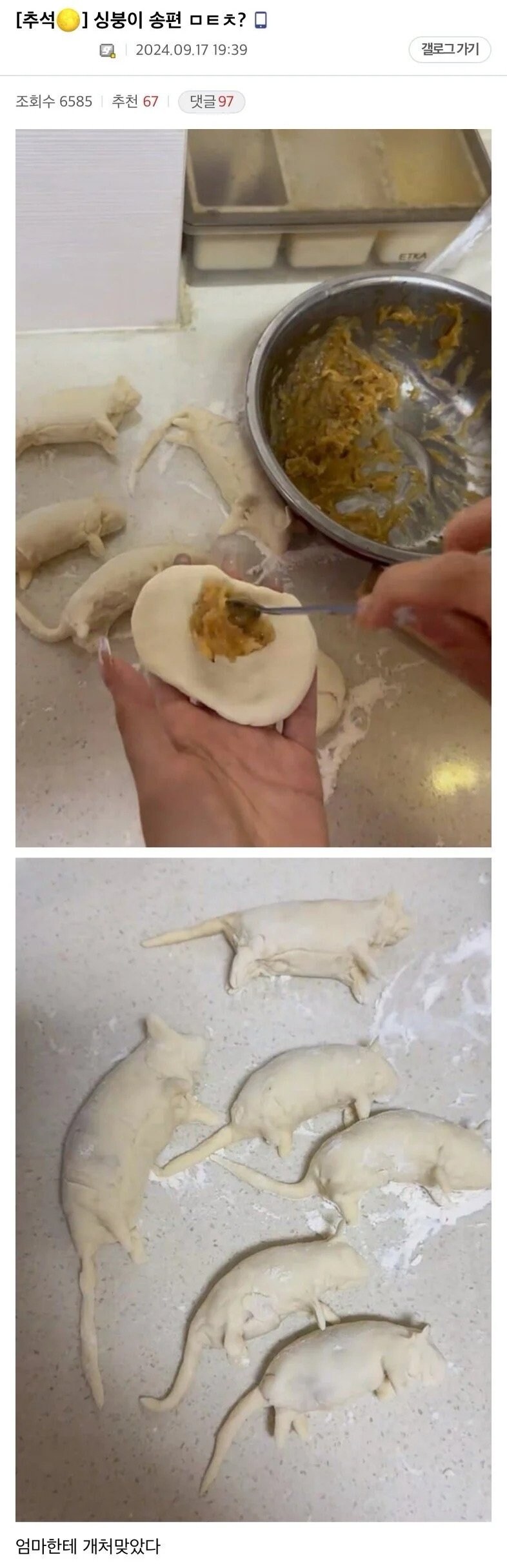 쥐로 송편만든 디씨유저_1.jpg