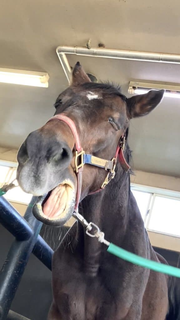 둘이 표정이 똑같음_1.jpg