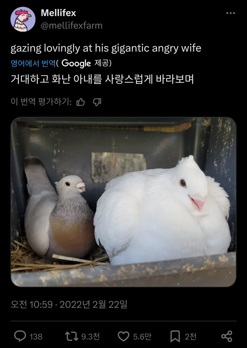 이게 그 에겐남 테토녀인가_1.webp