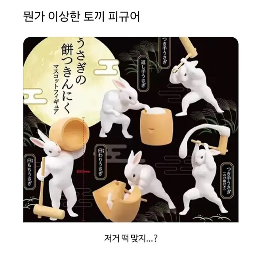 뭔가 이상한 토끼 피규어_1.jpg
