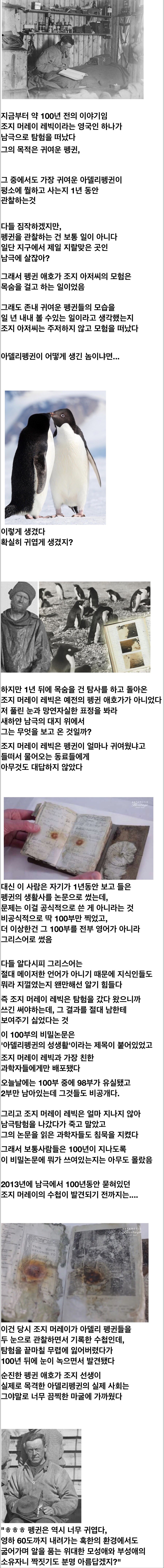 귀여운 펭귄 관찰 일기_1.jpg