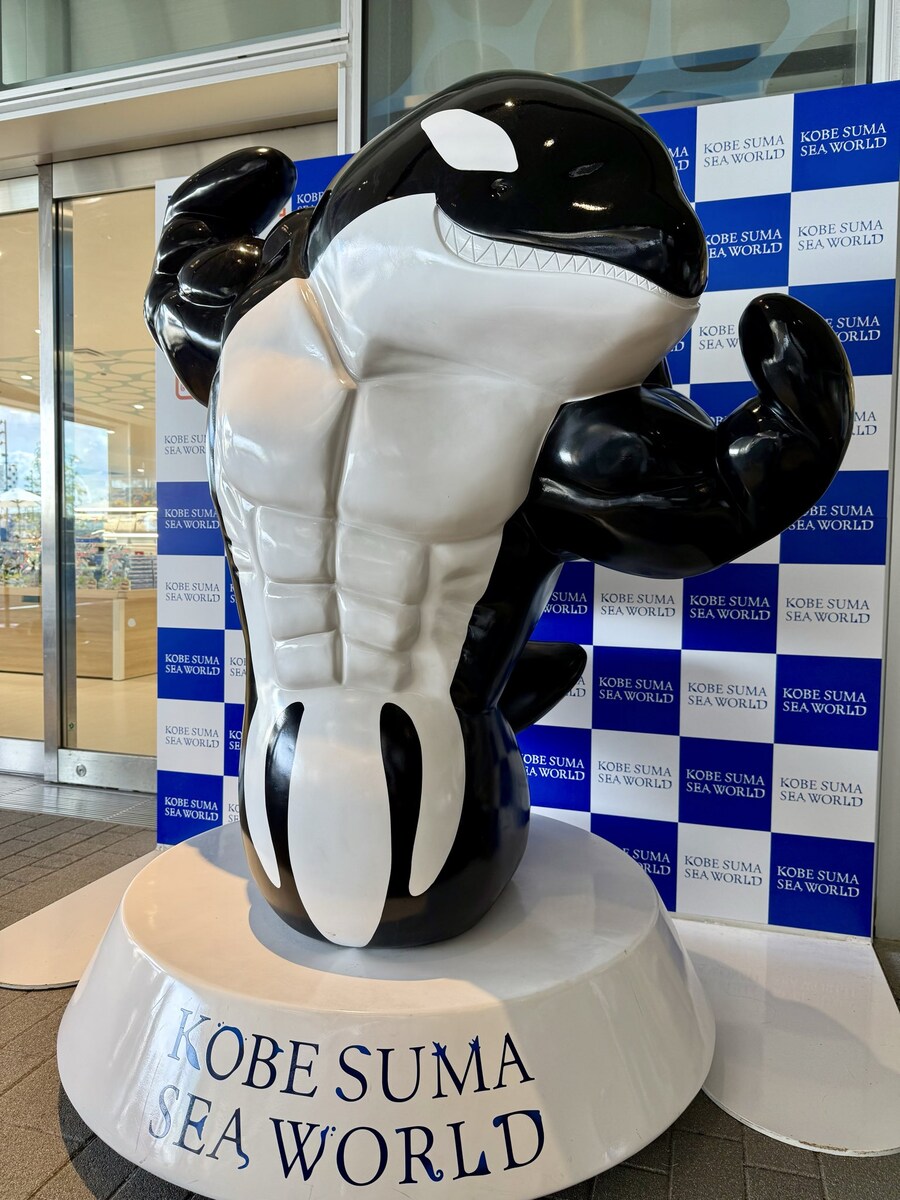 복근쩌는 범고래_1.jpg