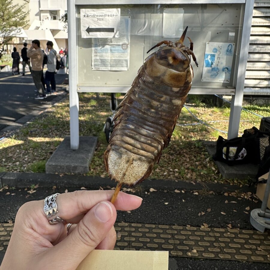 일본 해양대 축제의 이색체험_2.jpg