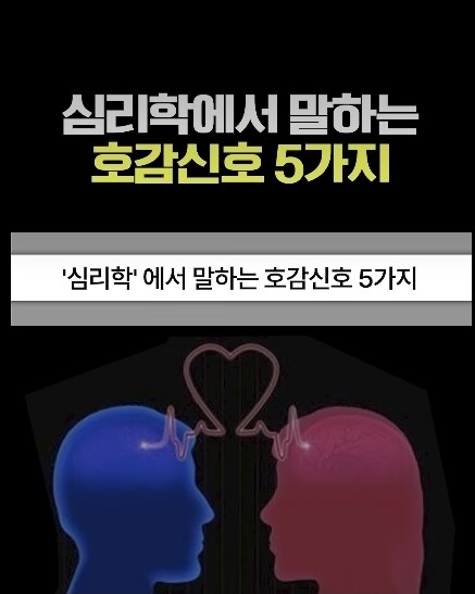 보통 이런 심리학 쇼츠 특징_1.jpg