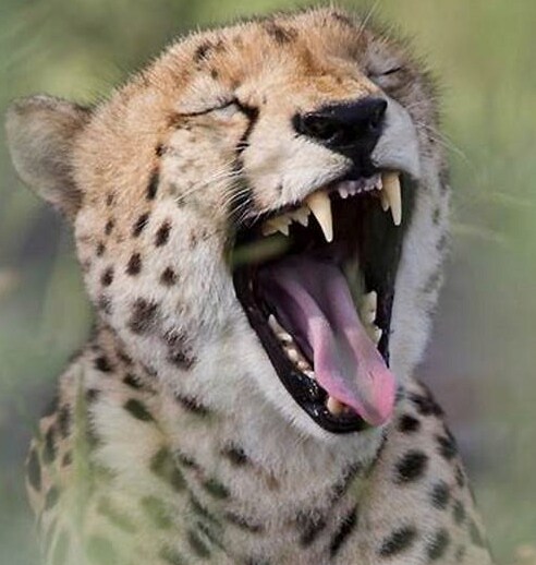 너네 역사상 가장 차가웠던 전쟁이 뭐였는 줄 알아?_2.png