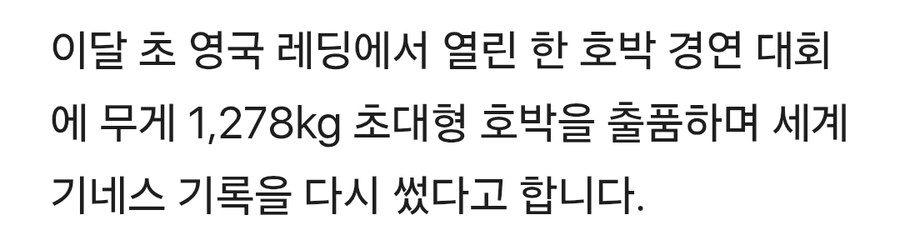 영국에서 재배된 1278kg 초대형 호박_3.jpg