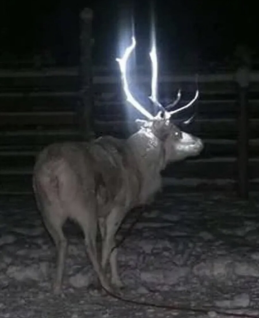 운전자의 안전을위해 페인트를 발라봄_3.jpg