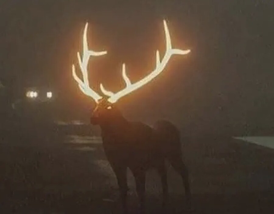 운전자의 안전을위해 페인트를 발라봄_5.jpg