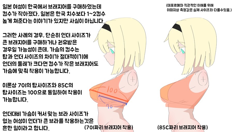 일본 한국 가슴 컵 사이즈 기준은 동일하다_3.png