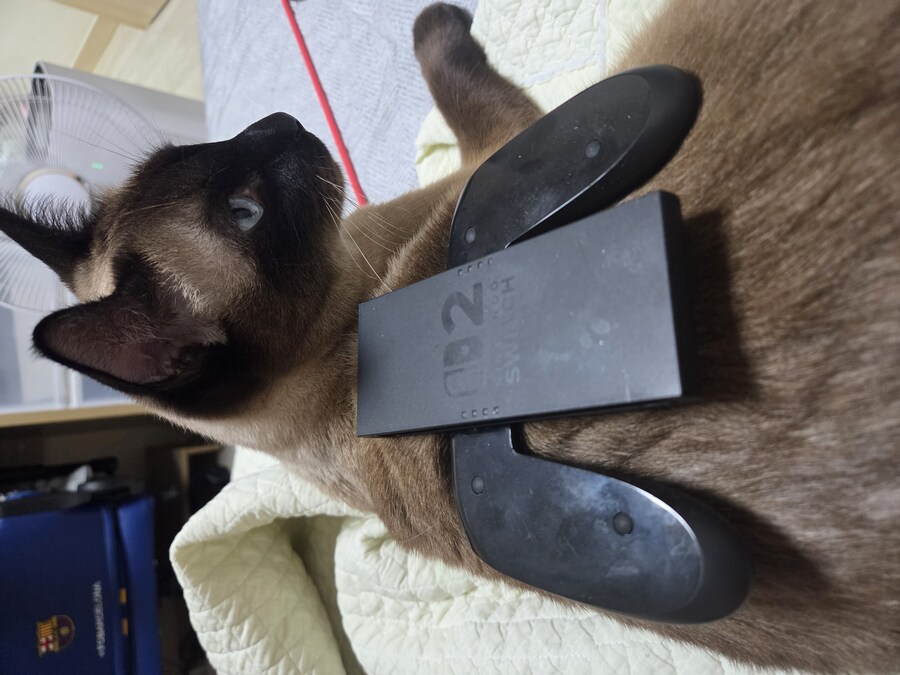 게임패드를 무선으로 하면 충전이 귀찮음_3.jpg