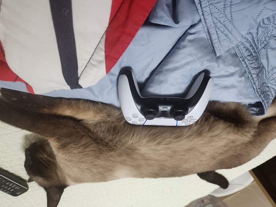 게임패드를 무선으로 하면 충전이 귀찮음_7.jpg