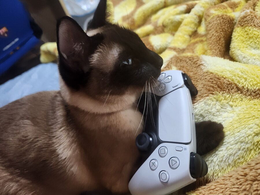 게임패드를 무선으로 하면 충전이 귀찮음_8.jpg