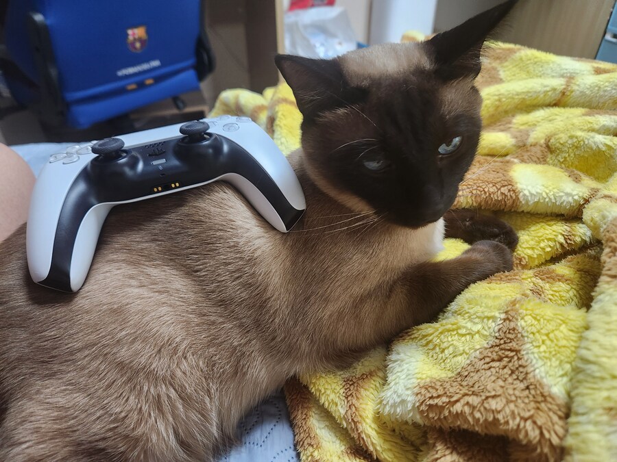 게임패드를 무선으로 하면 충전이 귀찮음_9.jpg