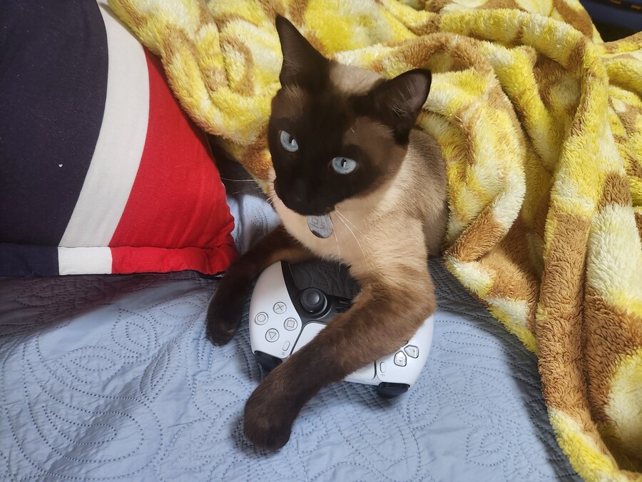 게임패드를 무선으로 하면 충전이 귀찮음_10.jpg