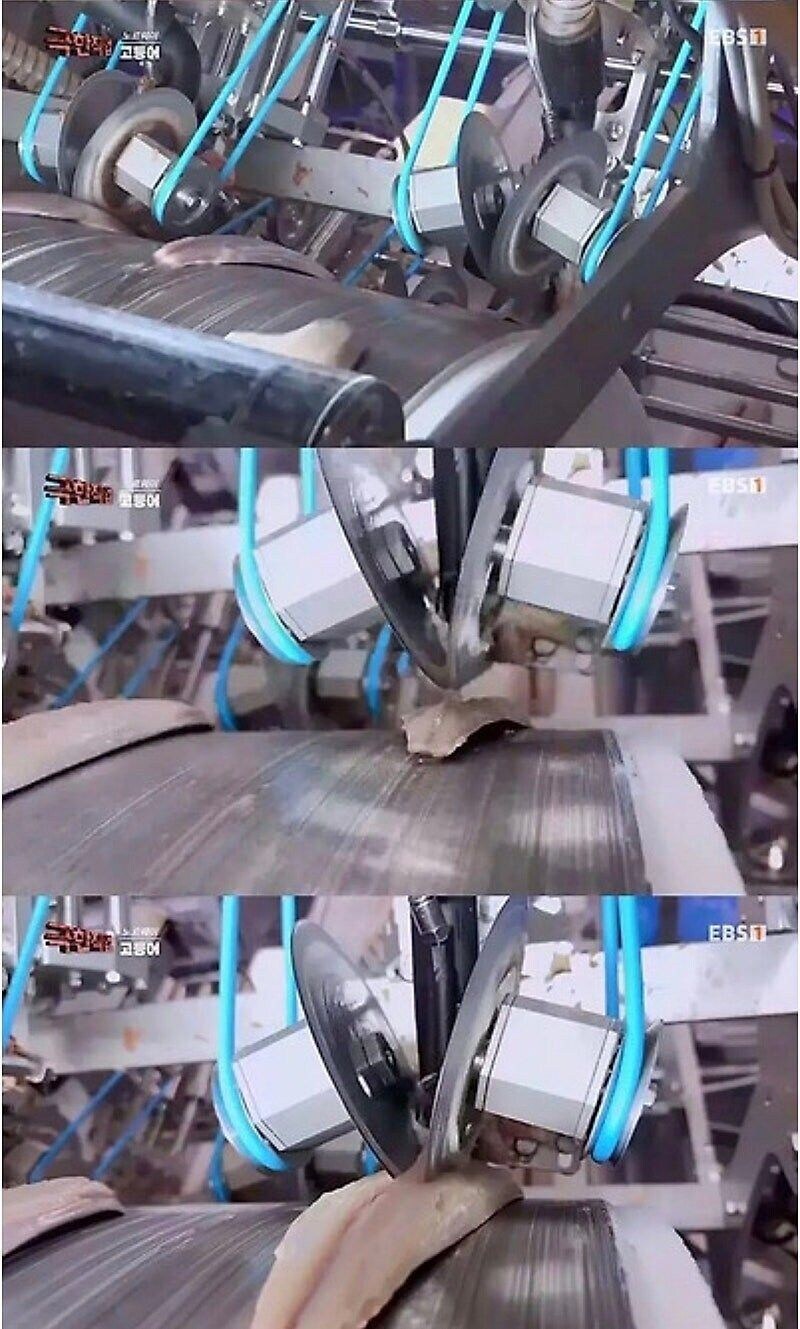 발전한 ai가 초래해버린 미래_4.jpg