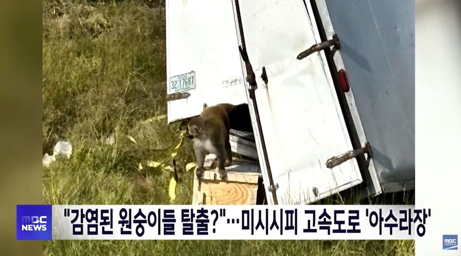 미국 사는 사람들 28일 후에 무사하길_1.png