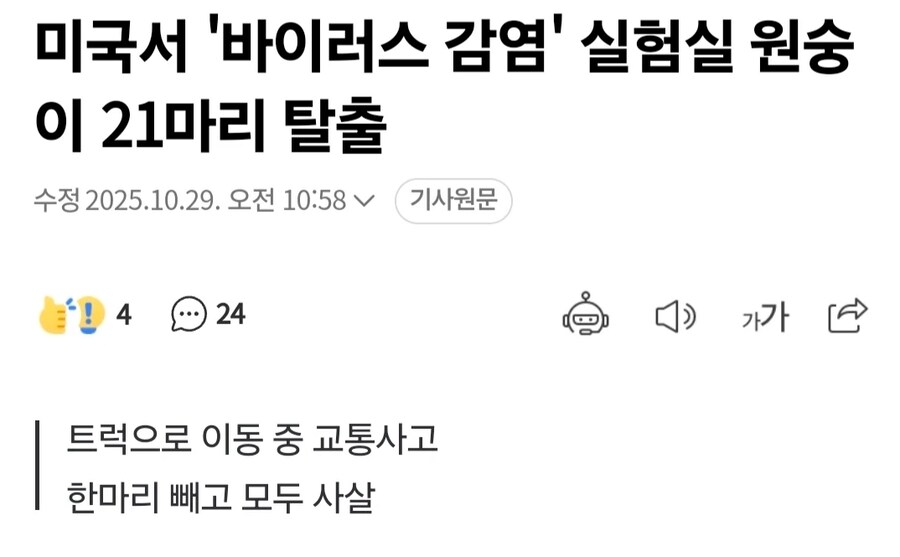 영화 도입부같은 기사_1.jpg