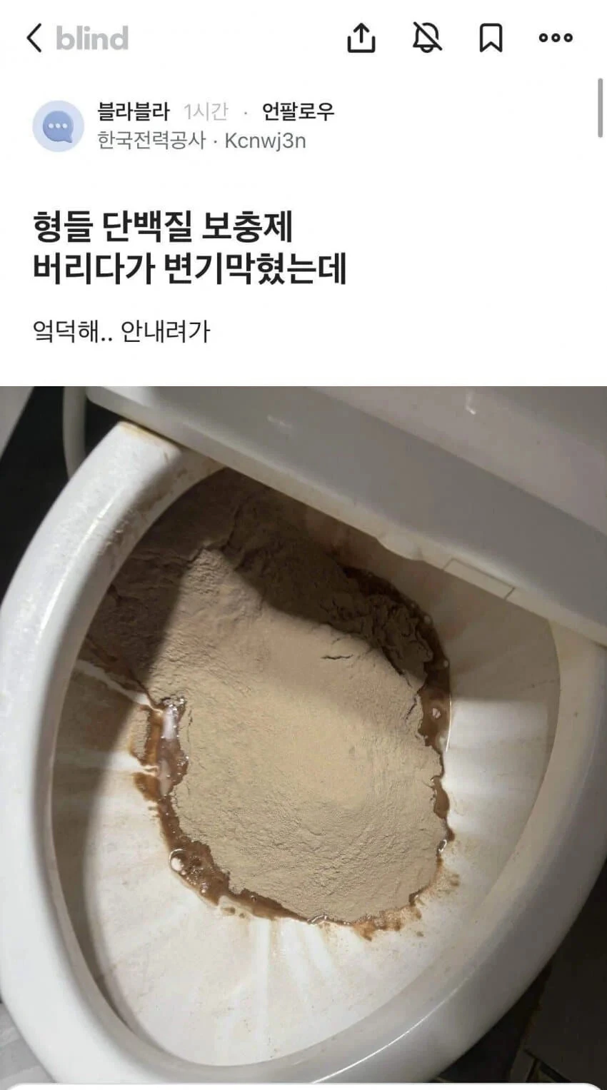 근육과 지능 둘 다 포기한 사람_1.webp
