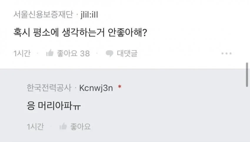 근육과 지능 둘 다 포기한 사람_2.webp