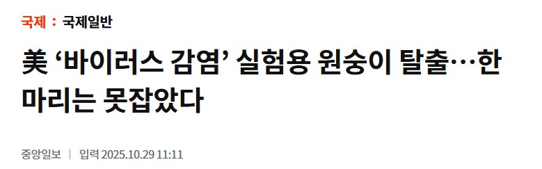 좀비 아포칼립스 도입부_1.png