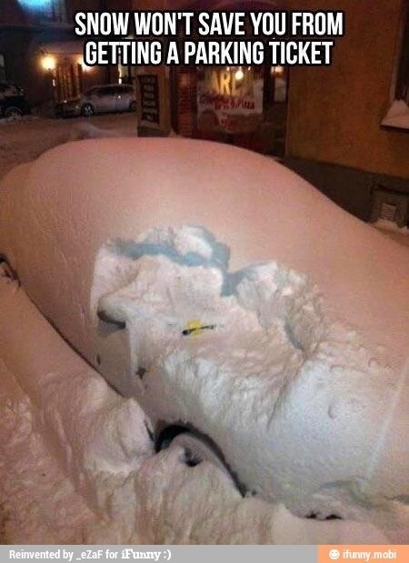 자연에 굴하지 않는 주차 단속.jpg_1.jpg