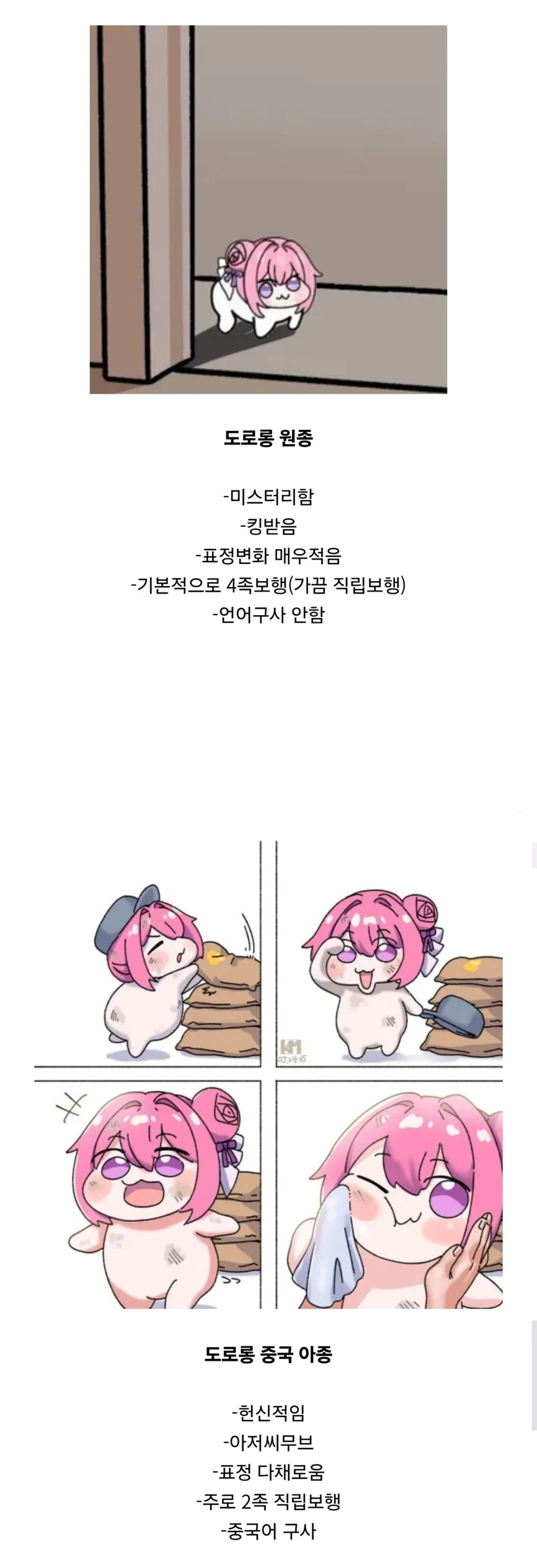 한국 도로롱 vs 중국 도로롱_1.webp