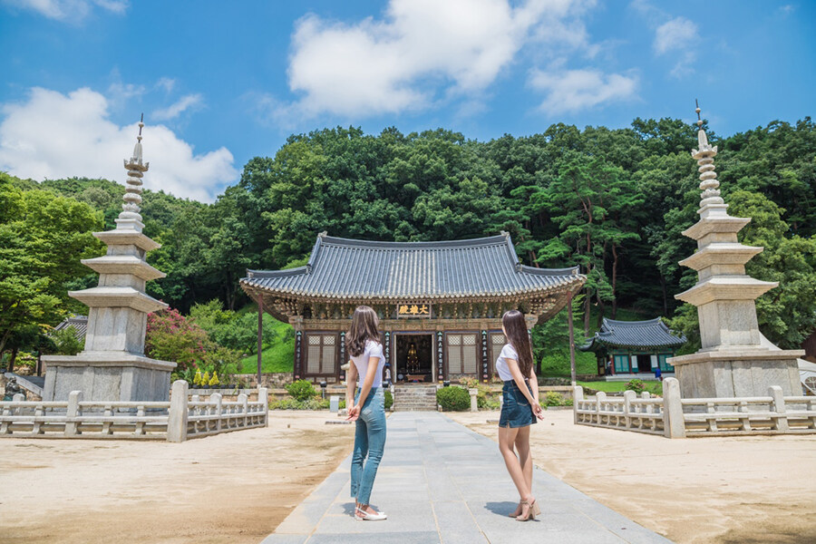 위치도 존나 잘 잡은 김천김밥축제.jpg_7.jpg