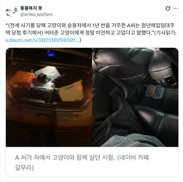 전세사기를 당해 고양이와 차에서 살았다는 사람.jpg_1.png