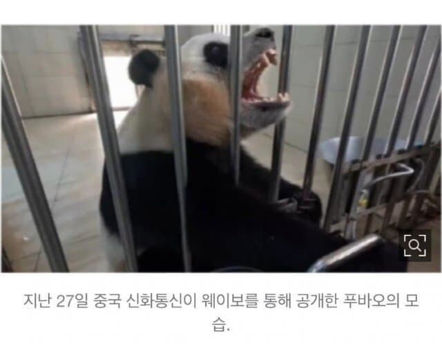 본녀는 자연농원의 금지옥엽이다!_1.jpg