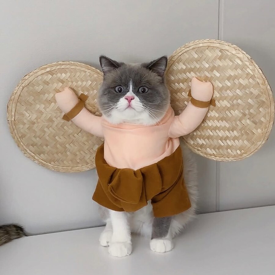 집사에게 이용당한 냐옹이..._1.jpg