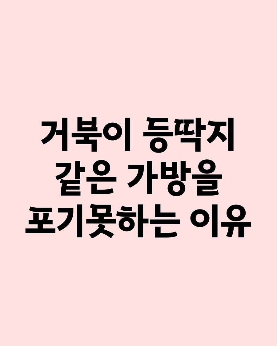 거북이 등딱지같은 가방을 포기못하는 이유.jpg_1.jpg