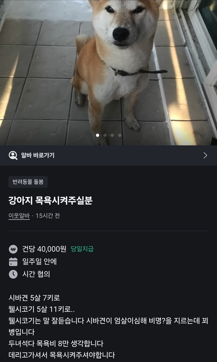 개를 목욕시키는 알바 구하는 사람.jpg_1.jpg