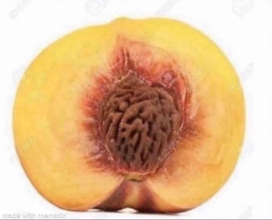 변기 1인칭 시점_1.jpg