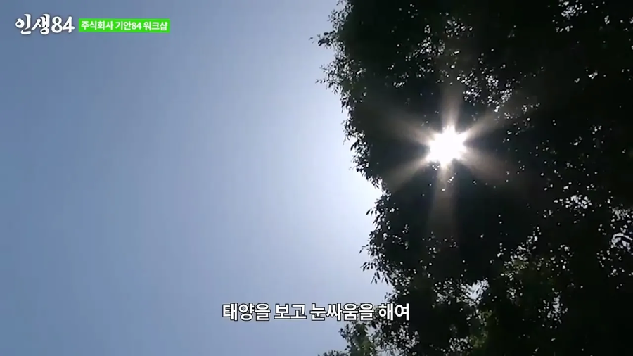 곰팡이에 대해 사람들이 잘못 아는 것_4.webp